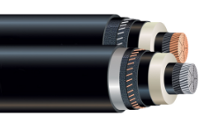 High Voltage Underground (69kV and Up)